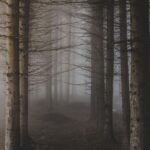 Dark Woods Fragrance oil